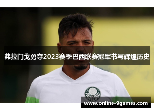 弗拉门戈勇夺2023赛季巴西联赛冠军书写辉煌历史